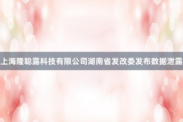 上海隆聪露科技有限公司湖南省发改委发布数据泄露
