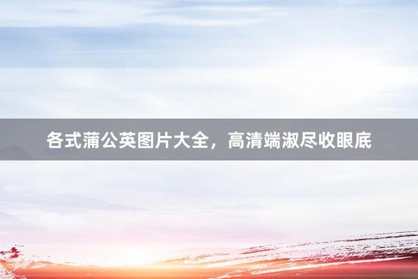 各式蒲公英图片大全，高清端淑尽收眼底