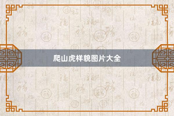 爬山虎样貌图片大全