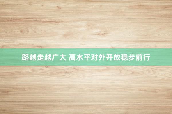 路越走越广大 高水平对外开放稳步前行