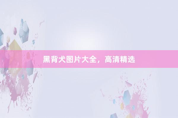 黑背犬图片大全，高清精选