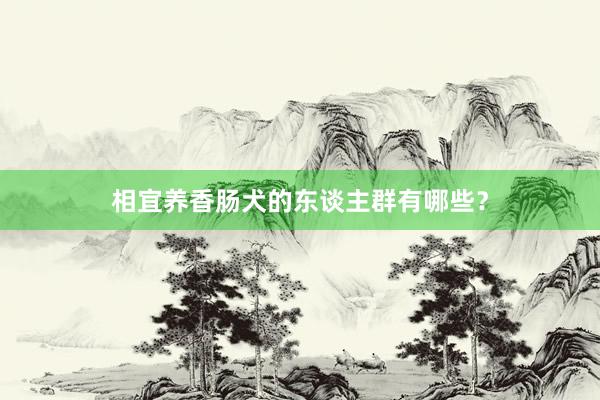 相宜养香肠犬的东谈主群有哪些?